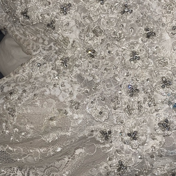 Maggie Sottero Dahlia - Picture 4 of 10